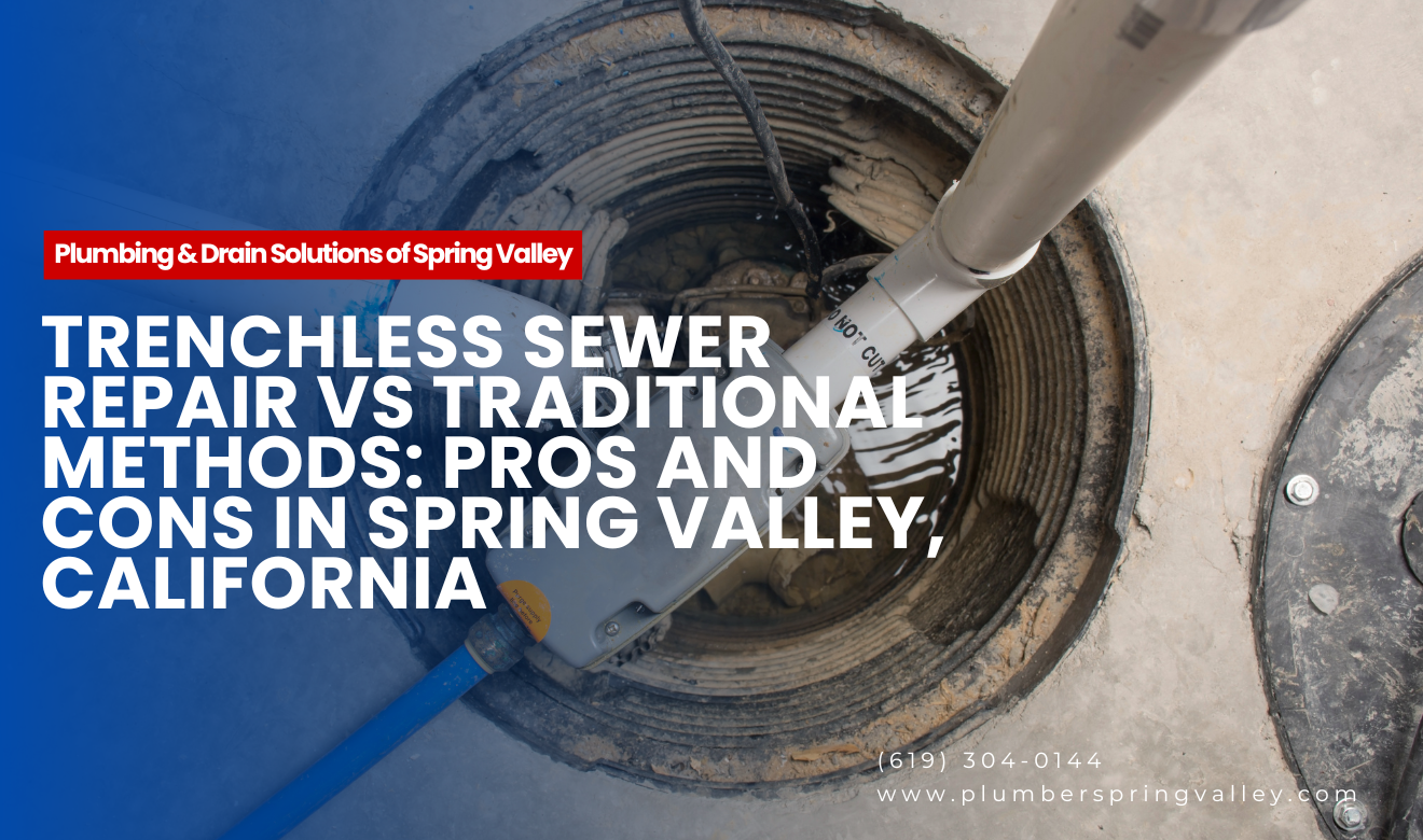 compare trenchless sewer repair Spring Valley