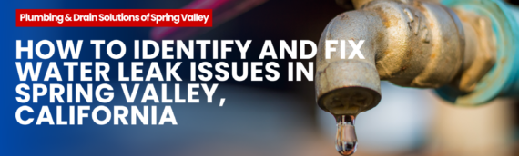 How to Identify and Fix Water Leak Issues in Spring Valley, California