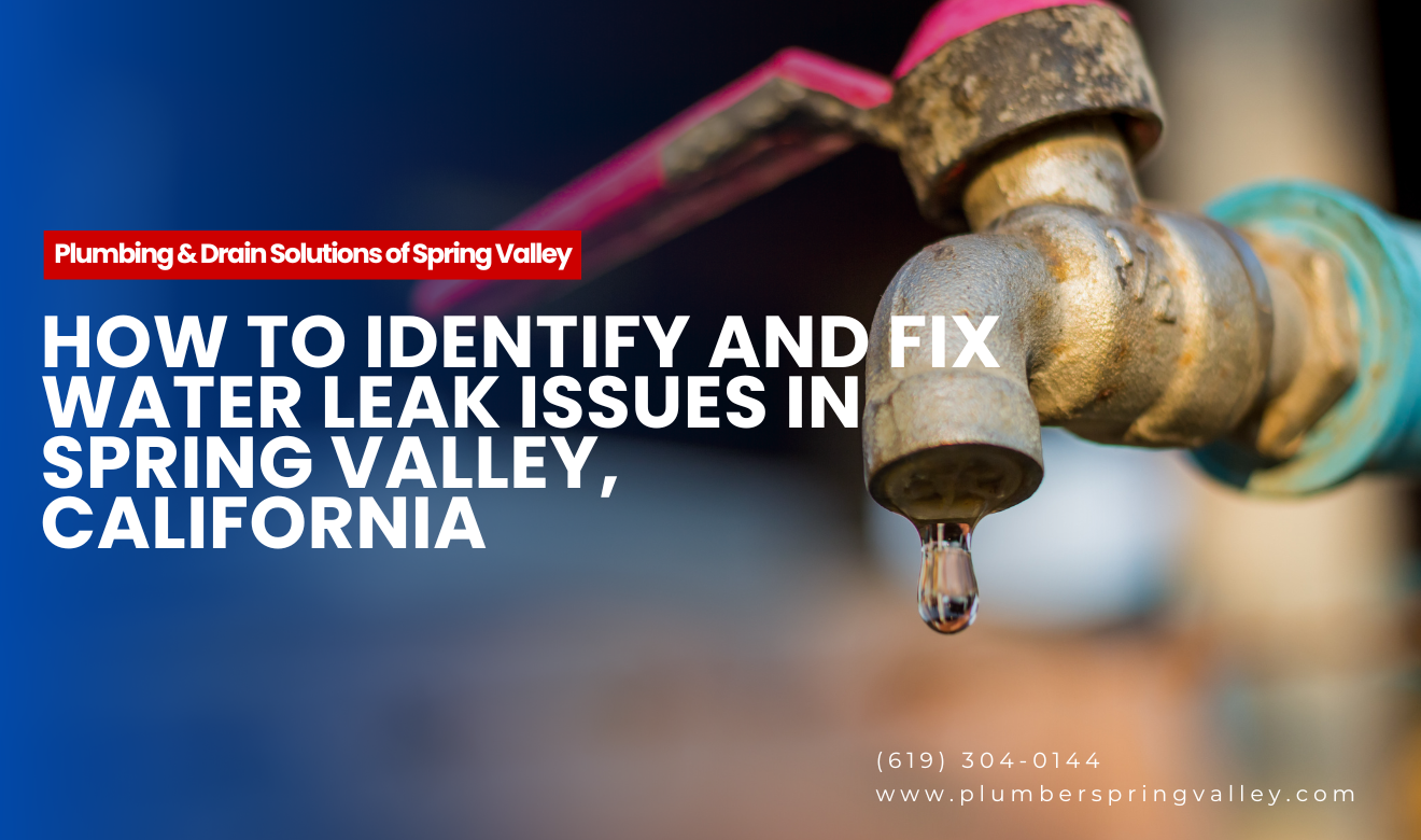 emergency water leak repair pricing Spring Valley