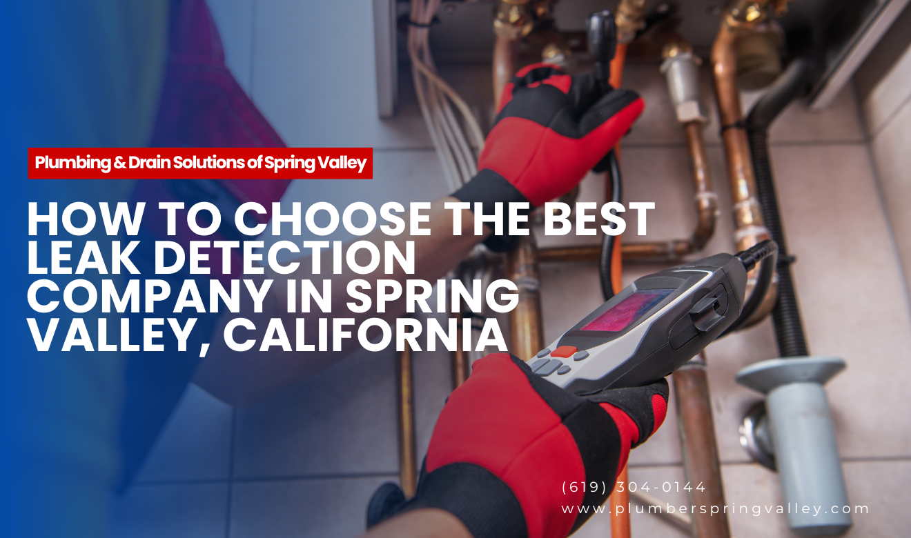 licensed leak detection pros Spring Valley