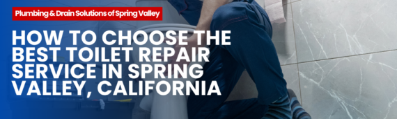 How to Choose the Best Toilet Repair Service in Spring Valley, California