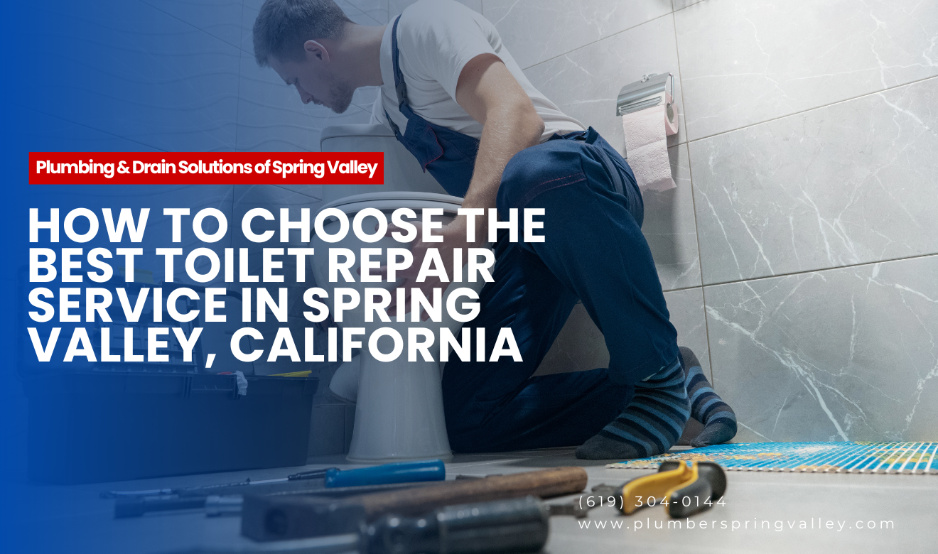 toilet installation and repair near me Spring Valley