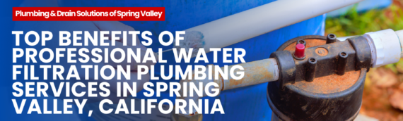 Top Benefits of Professional Water Filtration Plumbing Services in Spring Valley, California
