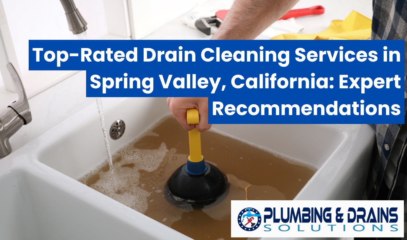 best drain cleaning service Spring Valley