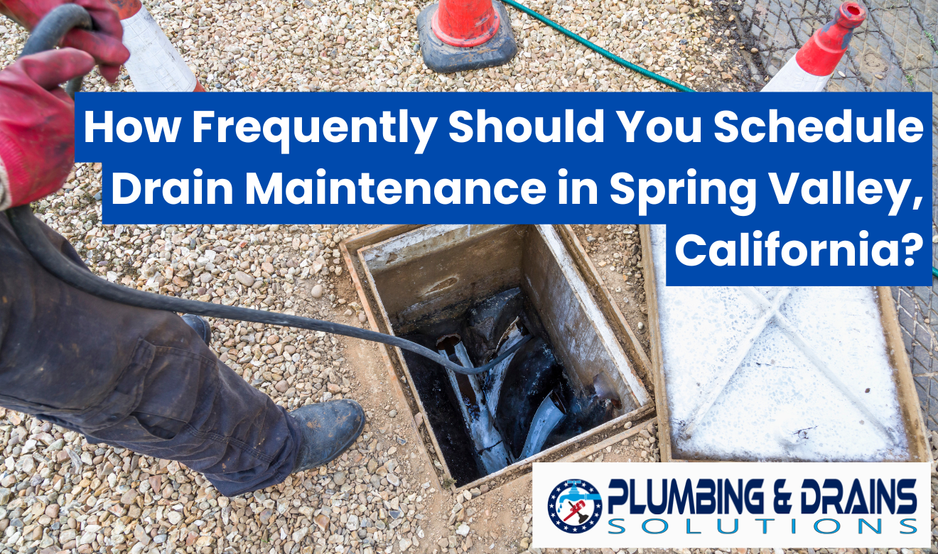 how often schedule drain maintenance Spring Valley