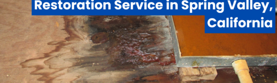 Discover the Top Rated Water Damage Restoration Service in Spring Valley, California