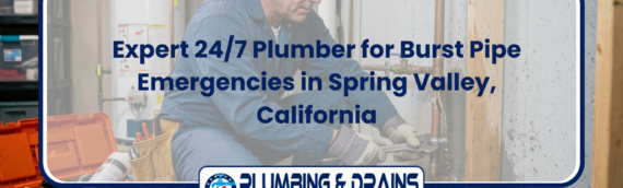 Expert 24/7 Plumber for Burst Pipe Emergencies in Spring Valley, California