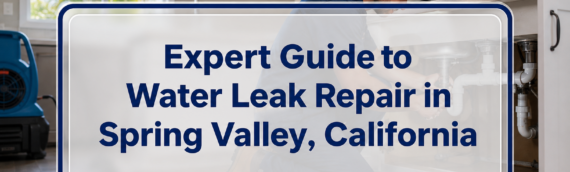 Expert Guide to Water Leak Repair in Spring Valley, California